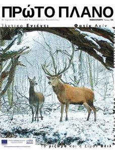 #296, Φθινόπωρο 2017