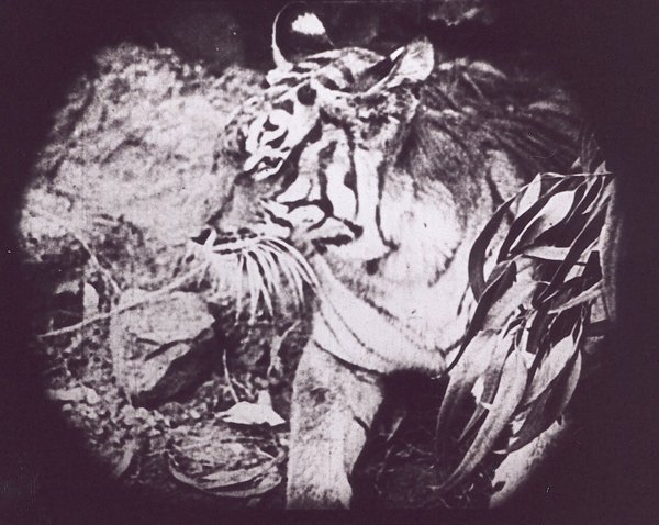 IMAGES_OF_THE_ORIENT_VANDAL_TOURISM_2