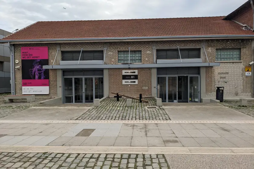 Momus Experimental photo whb