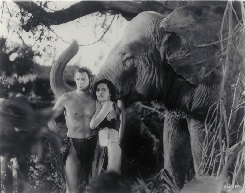 O_TARZAN_KAI_H_SYNTROFOS_TOY