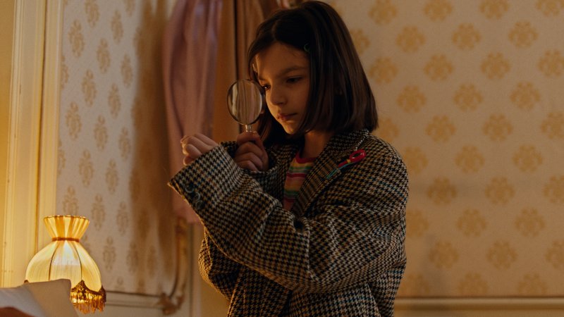 THE LITTLE HOTEL DETECTIVE