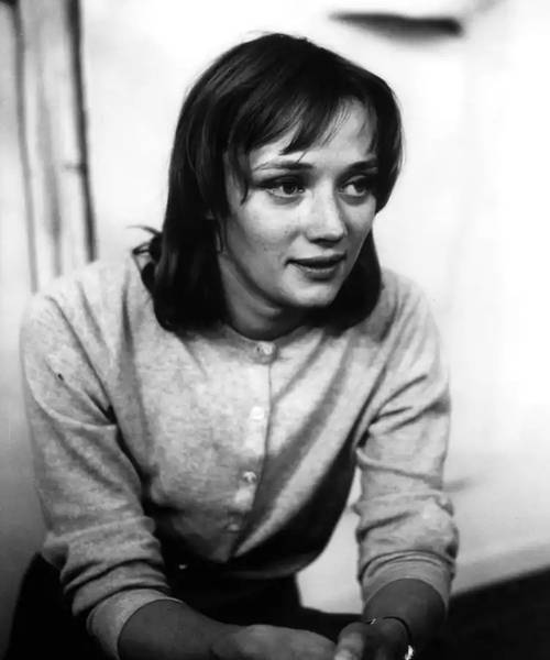 A Dream Longer Than the Night