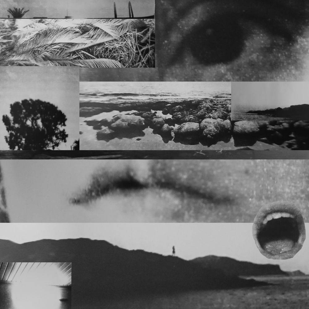 Διαγωνιστικό τμήμα