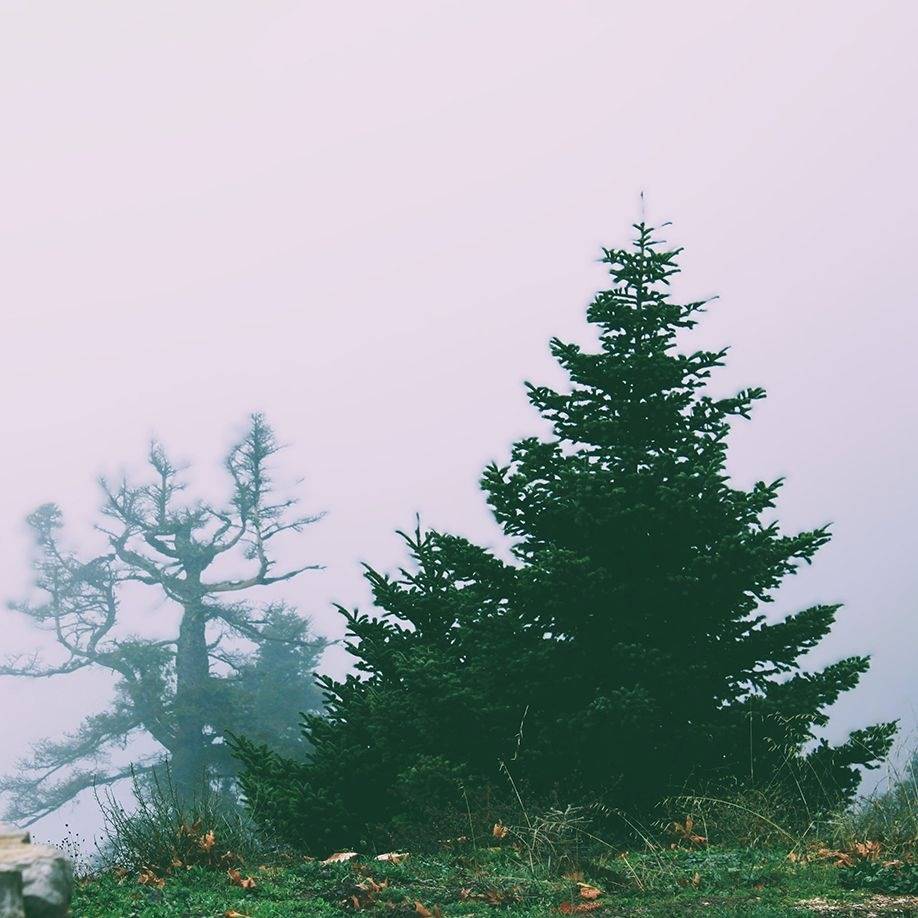 Ενότητα Nexus