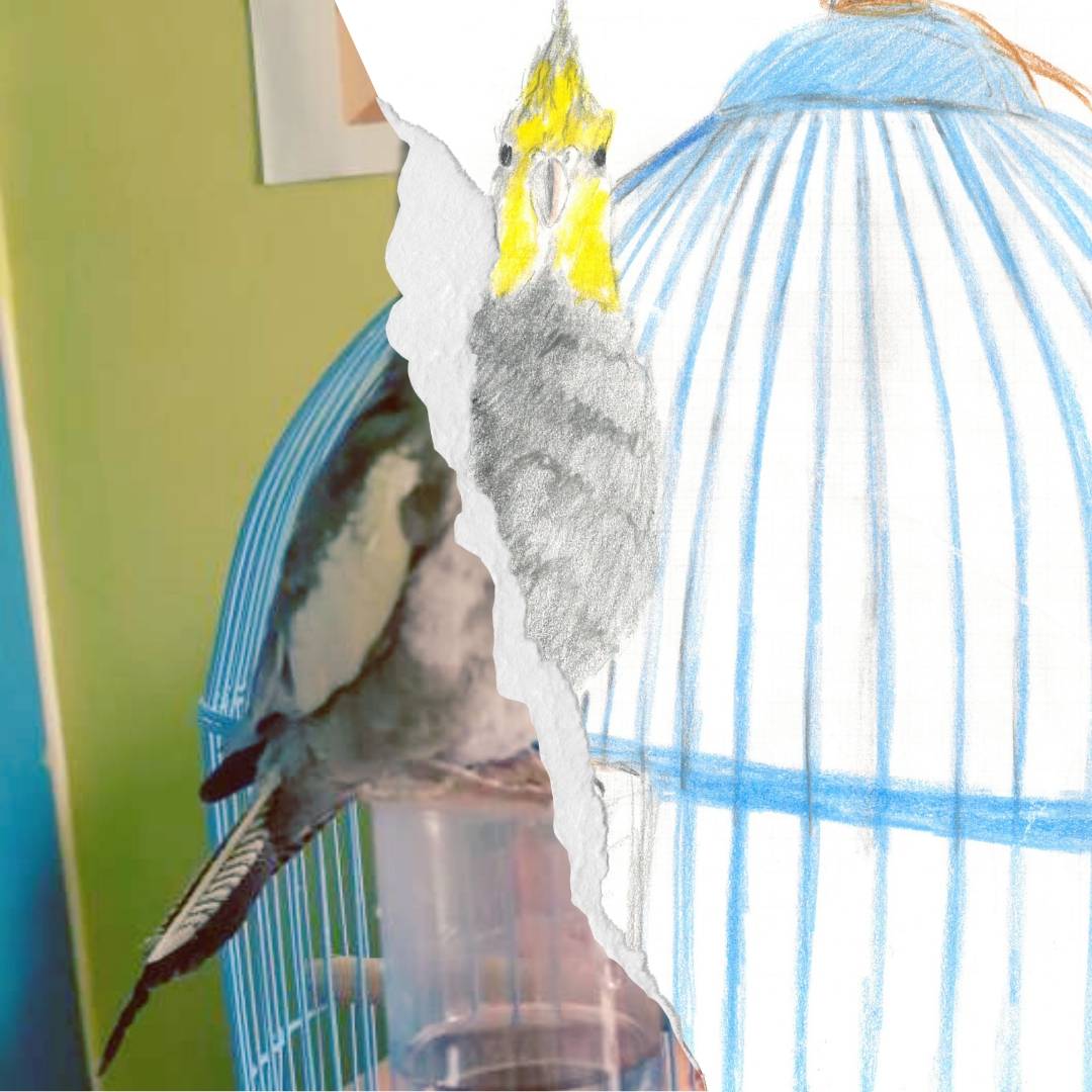 Ενότητα Nexus