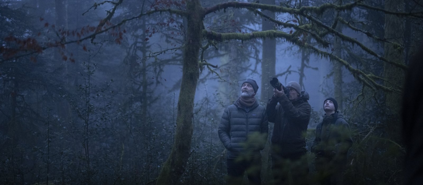 Whispers in the woods- Thessaloniki Film Festival